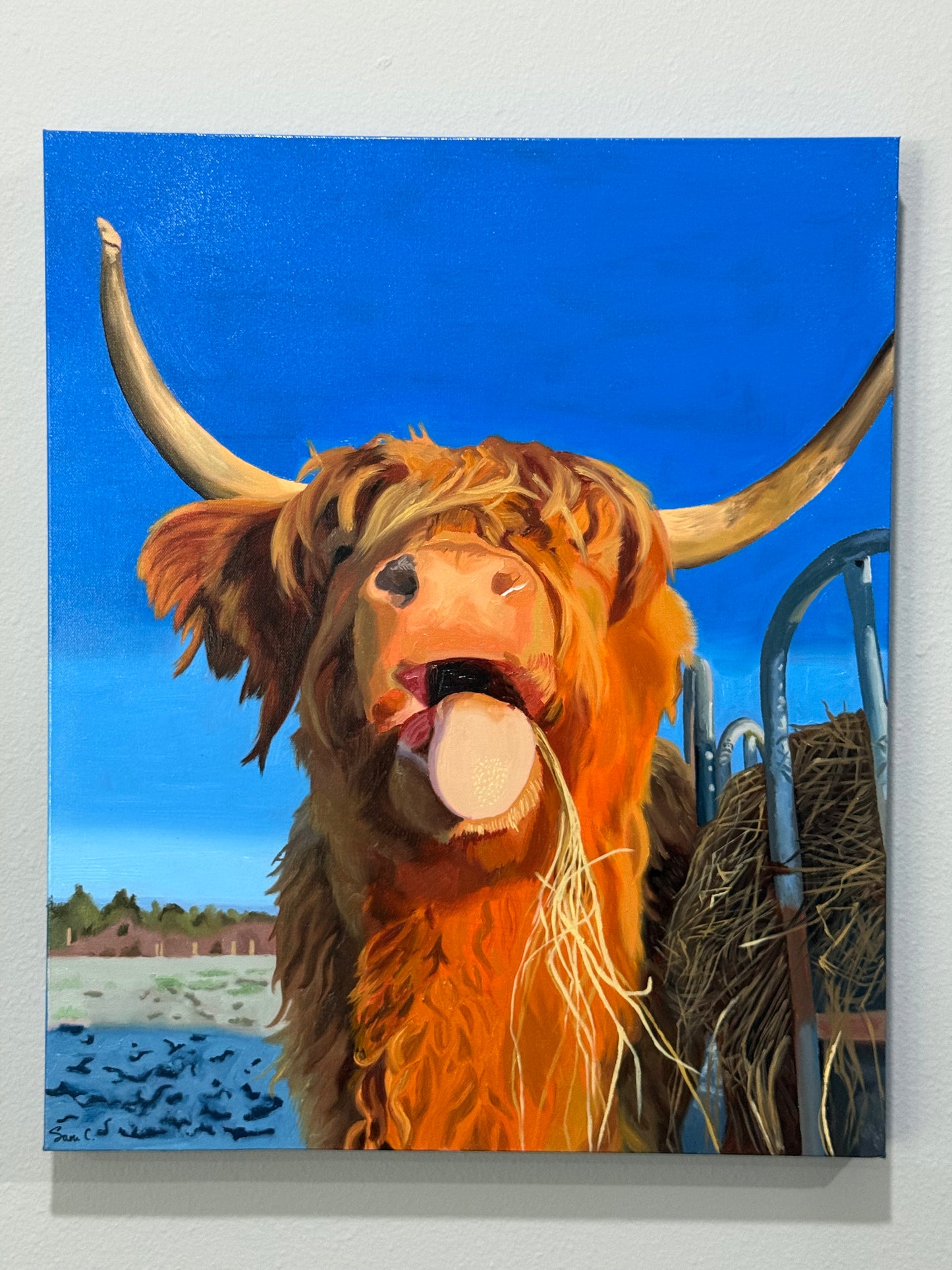 20x24 Cute cow