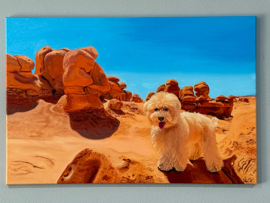 35x24 Goblins valley