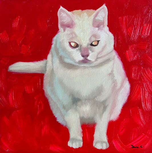 12x12 Evil kitty